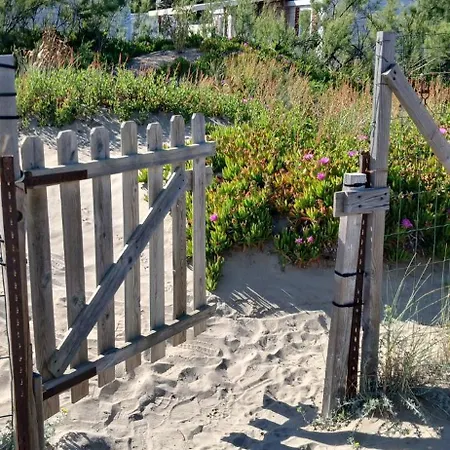 Des Dunes * Le Grau-dʼAgde